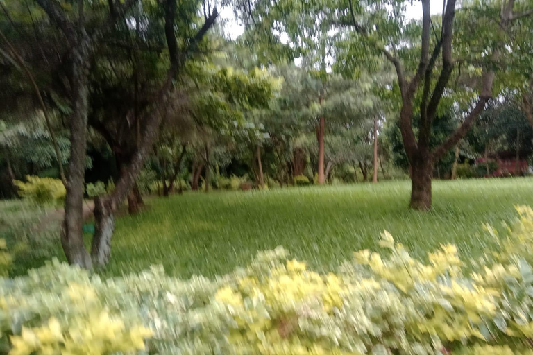 Nairobi: Michuki Park & National Museum Tour with Pickup