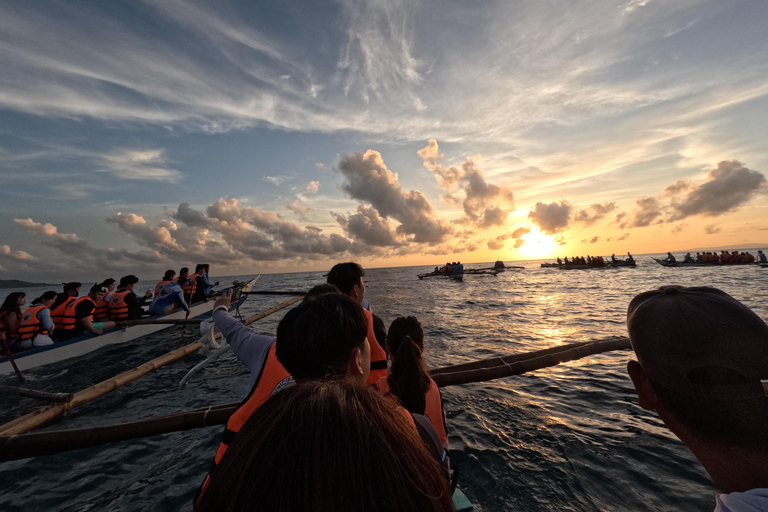 Oslob: Whale Shark Snorkeling Experience