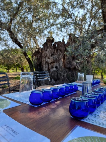 Visit Ermioni Olive Oil Tasting & Millennial Olive Tree tour in Poros Island