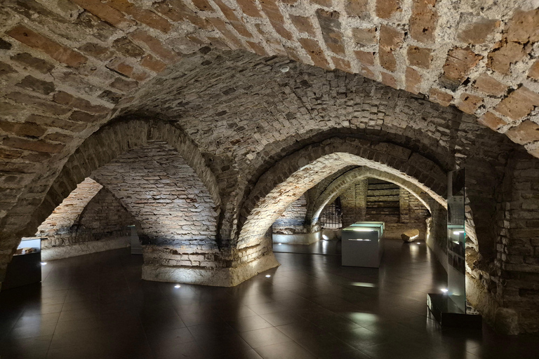Vilnius: Hidden Cathedral Crypts and Medieval Secrets Tour