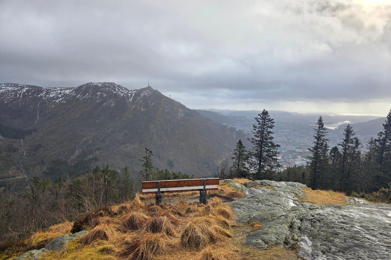 Bergen: Hike & Explore the area of Mount Fløyen