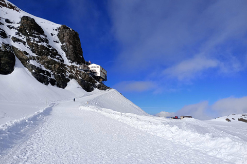 Day Trip from Zurich to Jungfraujoch - Top of Europe