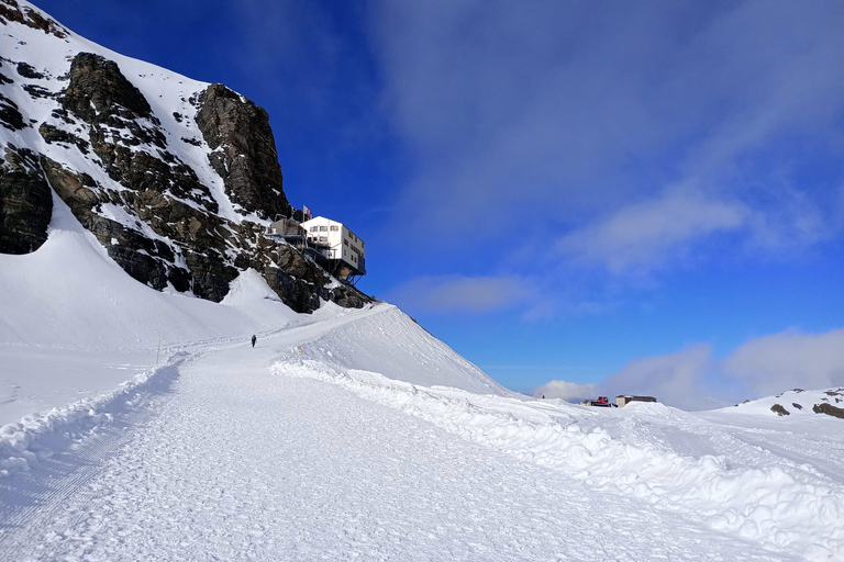 Day Trip from Zurich to Jungfraujoch - Top of Europe
