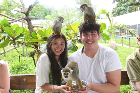Puerto Plata: Monkey home, Damajagua Waterfalls & City Tour