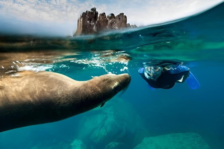 Espiritu Santo Island Tour with Sea Lion Snorkeling