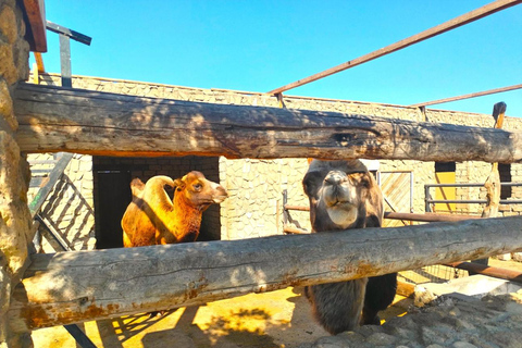 Private Half-Day Absheron Tour - Gala, Ateshgah and Yanardag