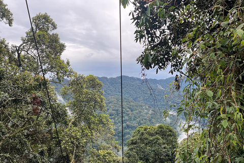 Chute d&#039;eau pittoresque au milieu de la forêt de Nyungwe