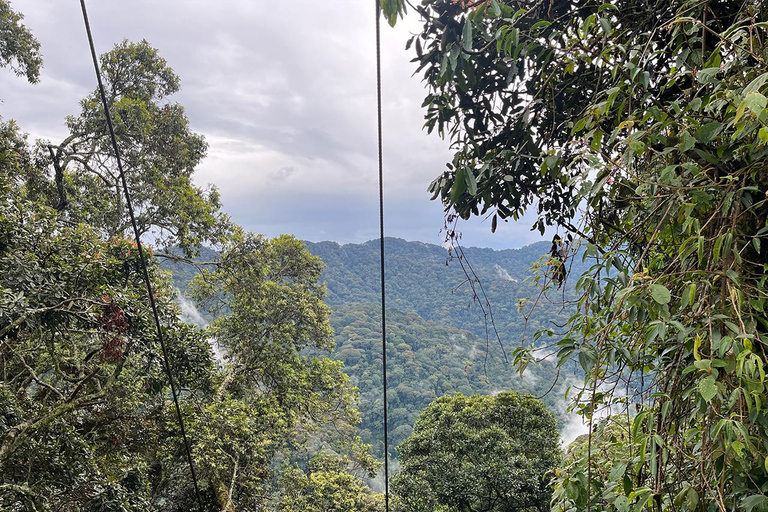 Scenic waterfall experience in the middle of Nyungwe Forest