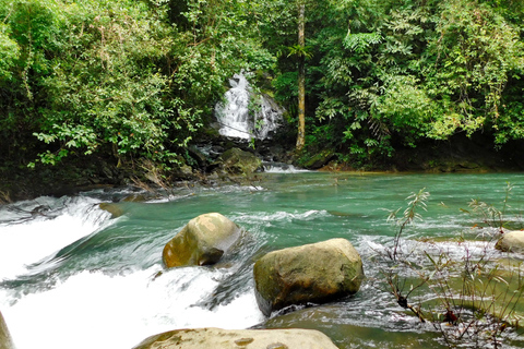 Khao Sok Jungle Day Trip - Jungle Trekking & Bamboo Rafting