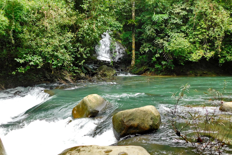 Khao Sok Jungle Day Trip - Jungle Trekking & Bamboo Rafting