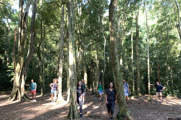 Tour delle cascate e delle grotte del Parco Nazionale di Tijuca