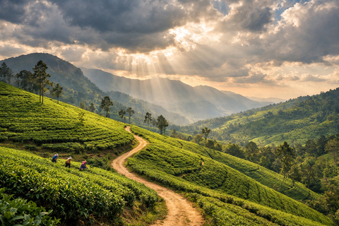 5-Day Sigiriya-Kandy-Ella Tour with Flexible Daily Stops