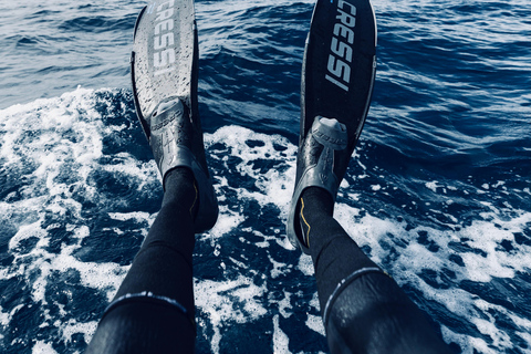 Ocean Safari in San Jose del Cabo