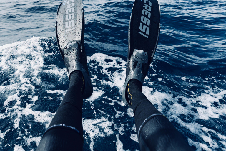 Ocean Safari in San Jose del Cabo