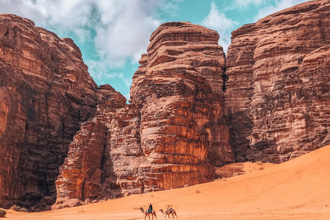 Wadi Rum: Horseback Ride to Khazali Canyon & Sand Dune