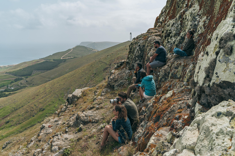 Porto Santo: Island Highlights 4x4 Tour with Hotel Transfers