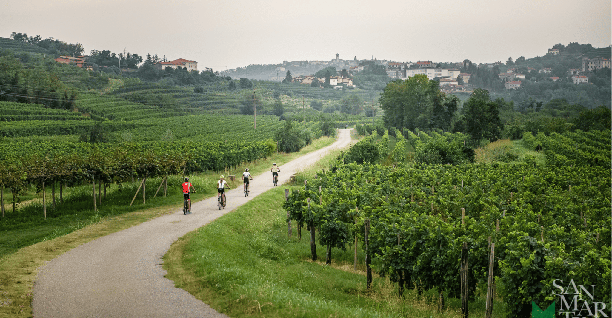 Goriška brda, E-Bike Tour with local guide - Housity