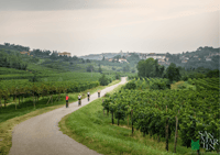 Goriška brda, E-Bike Tour with local guide - Housity