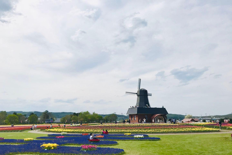 Eastern Hokkaido: Shibazakura & Tulip Park Day Tour Sapporo TV Tower Departure