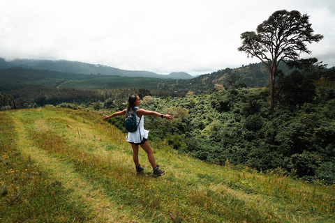 Kinuka Mori : excursion culturelle et nature avec déjeuner