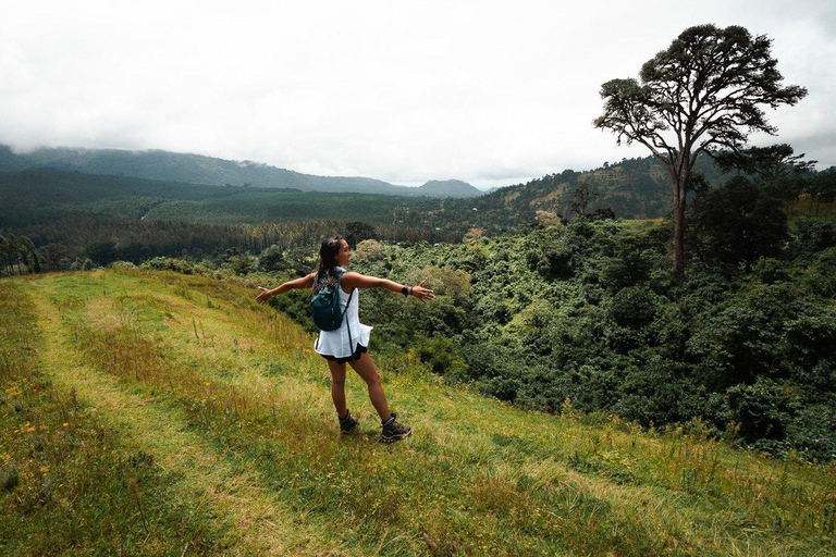 Kinuka Mori : excursion culturelle et nature avec déjeuner