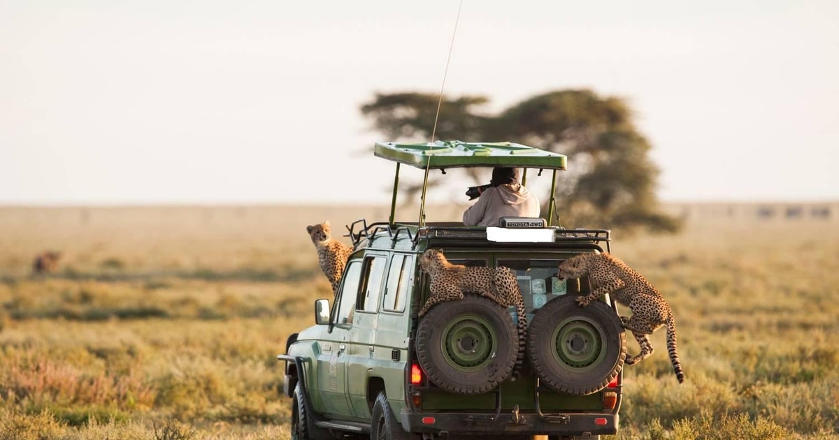 Paquete de 10 días de Safari Clásico por la Naturaleza en Kenia ...