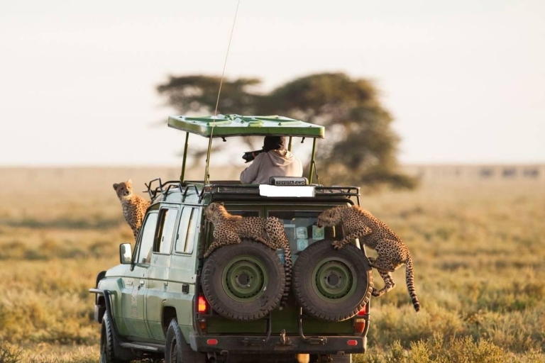 7 Dagen Smaak van Kenia Safari Avontuur