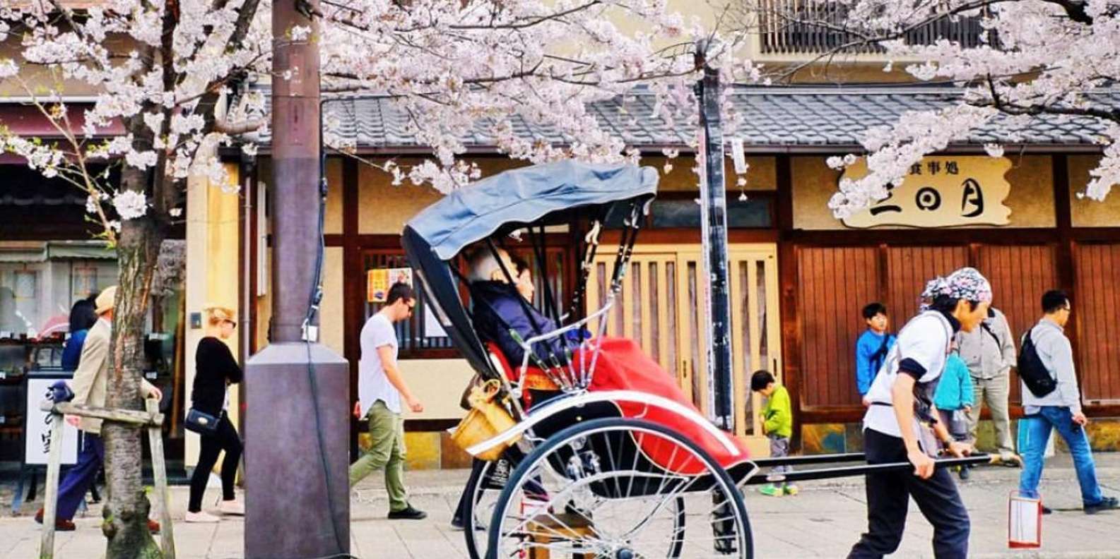 Kyoto experience — temples, geisha, bamboo grove — image 17