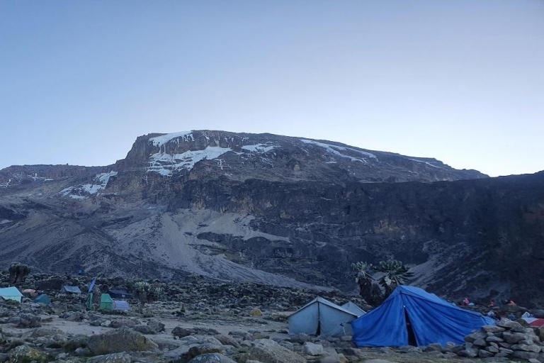 The best 9 days Nothern Circuit Route Kilimanjaro Climbing