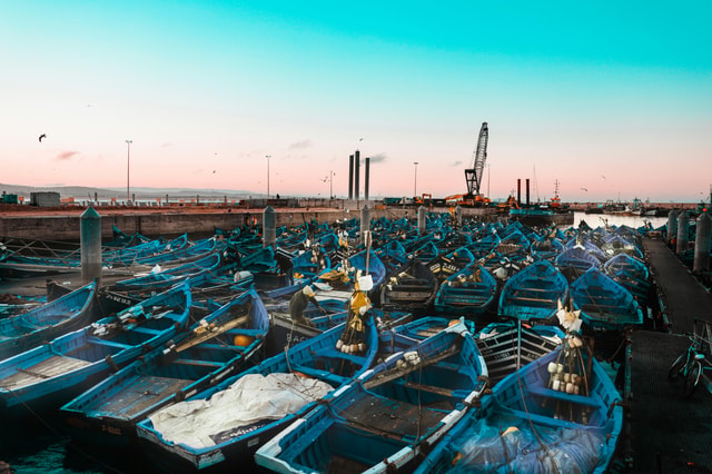 Marrakech Day Trip: Discover Essaouira & Sekkala Coastal