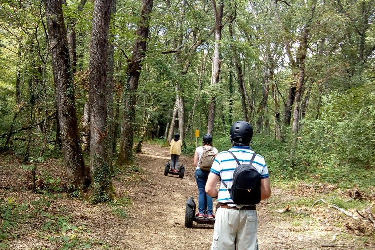 Segway hike 2h00 Aix les Bains between lake and forest Segway ride information