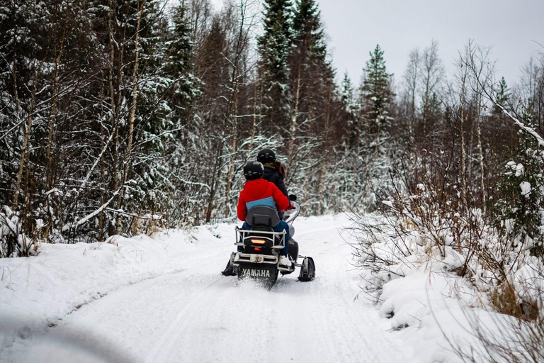 Rovaniemi: Safari guidato in motoslitta nella natura selvaggia e barbecue