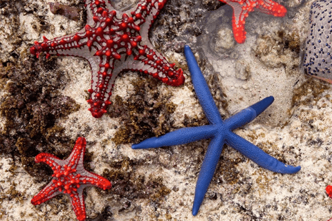 Zanzibar: lunch w restauracji The Rock i wycieczka do jaskini Kuza CaveZanzibar: Lunch w restauracji The Rock i wycieczka do jaskini Kuza Cave