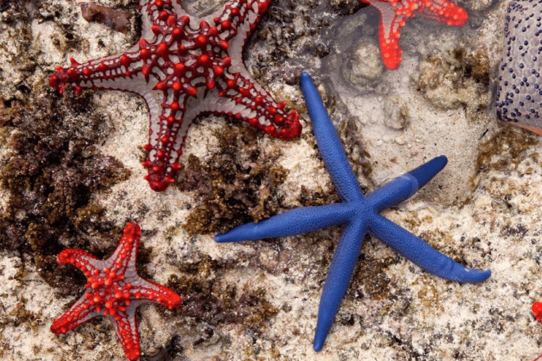 Zanzibar: lunch w restauracji The Rock i wycieczka do jaskini Kuza CaveZanzibar: Lunch w restauracji The Rock i wycieczka do jaskini Kuza Cave