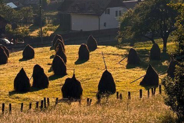Bucharest: Romanian Villages & Countryside Tour