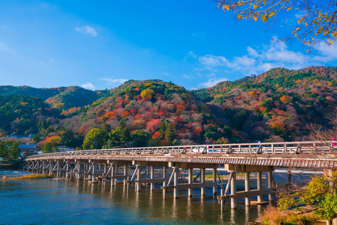 Tour privato di Kyoto Arashiyama 4 ore