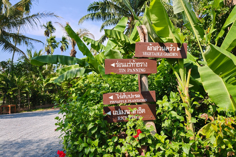 Phuket: 6 Authentic Thai Cultural Hands-On Experiences
