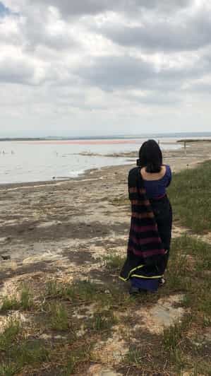 Galería de fotos para redes