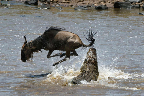 5 dagars privat safari i Masai Mara, Nakurusjön och Naivashasjön