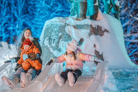 Arctic Fantasy Park Entry Ticket