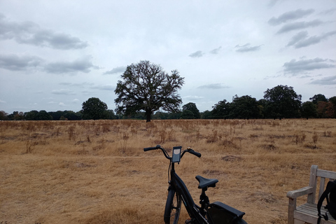 London to Windsor: The Right Royal E-Bike Extravaganza
