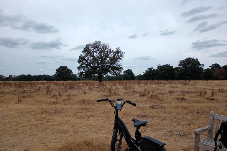 London to Windsor: The Right Royal E-Bike Extravaganza