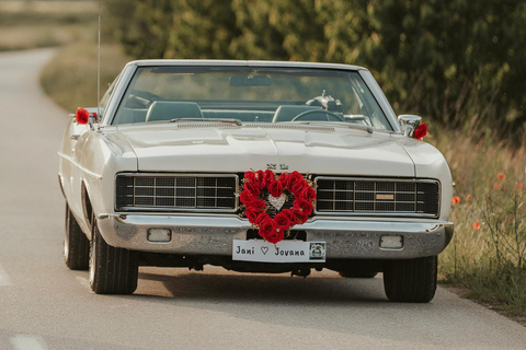 Genève: privé-dagtrip naar Montreux, Lausanne en Gruyères