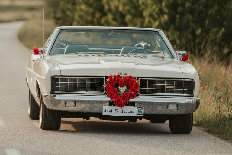 Genève: privé-dagtrip naar Montreux, Lausanne en Gruyères