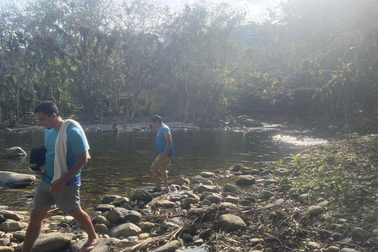 Paraty: Serra da Bocaina National Park Guided Hike