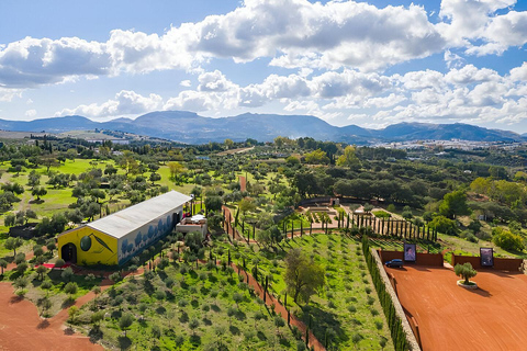 From Málaga: Ronda Experience