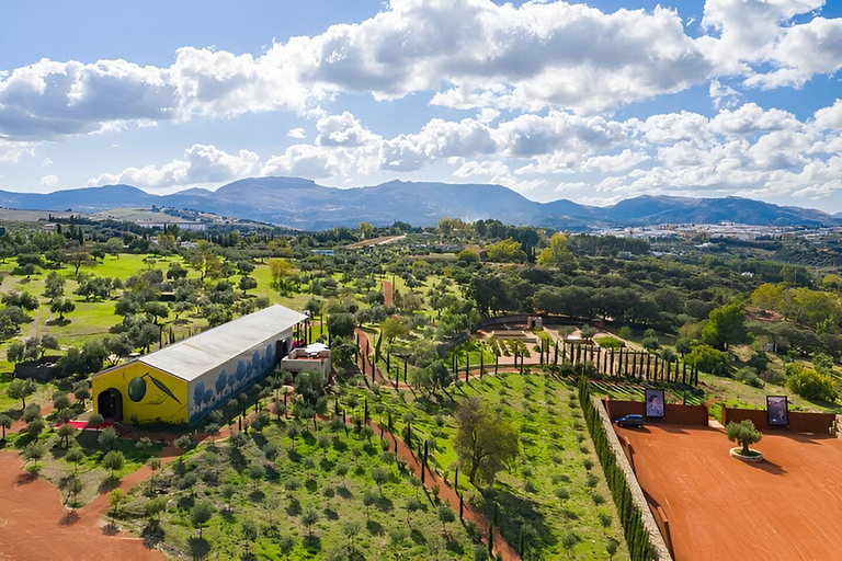 From Málaga: Ronda Experience with oil tasting