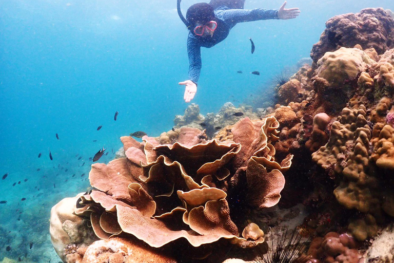 Experiência de dia inteiro de mergulho com snorkel saindo de BangkokDe Bangkok: Passeio de mergulho com snorkel na Baía de Samae Sarn com almoço