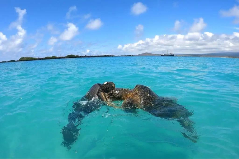 Santa Cruz: 4-Day Snorkel, Tintoreras, Pinzón & Fishing