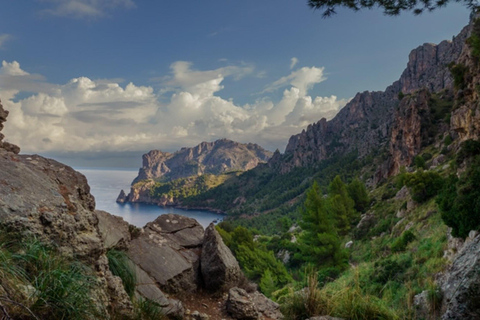 Tour de Majorque : Sa Calobra, Torrent de Pareis et Cala Tuent